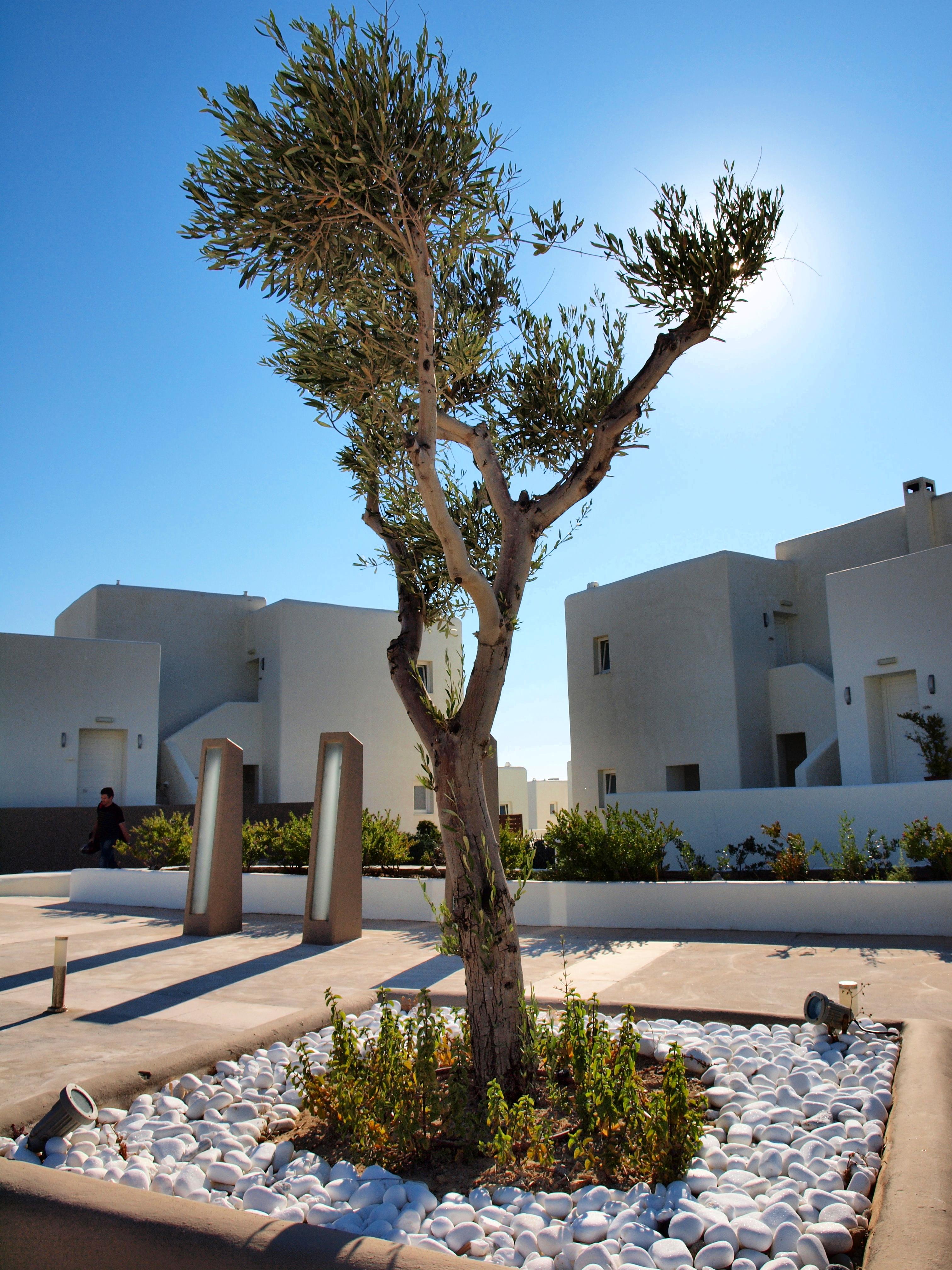Archipelagos Resort Páros Zewnętrze zdjęcie